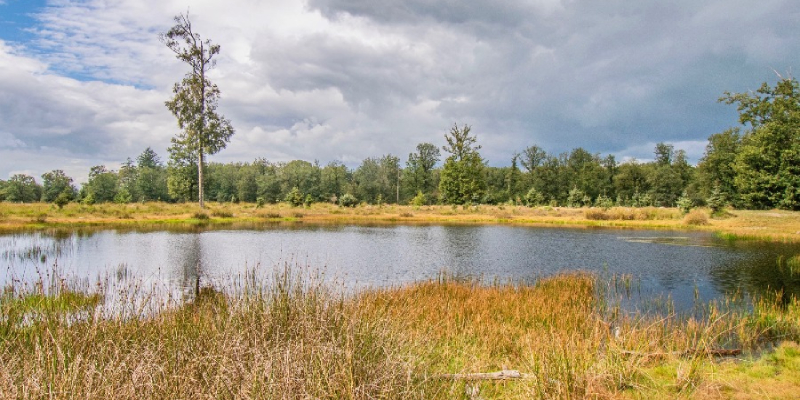 Outdoor Friesland Appelscha