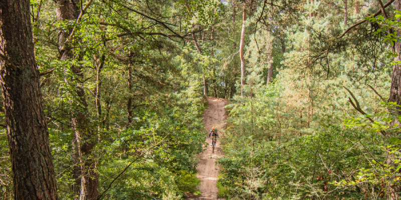 Outdoor Friesland Appelscha