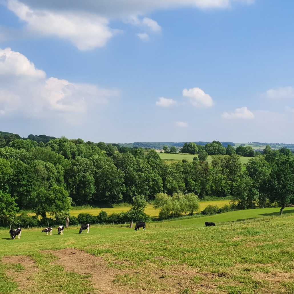Dutch Mountain Trail etappe 5 Slenacken - Mesch