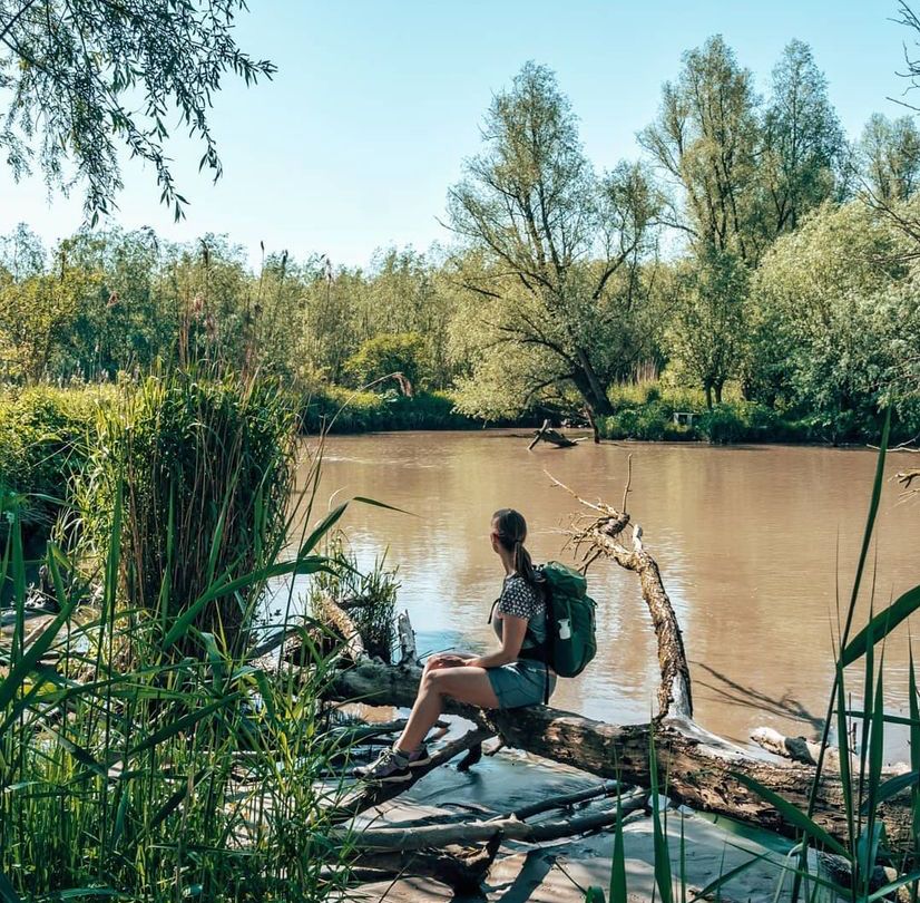 Op pad door nationaal park de Biesbosch