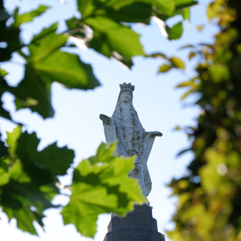 Bladeren en beeldje Limburg