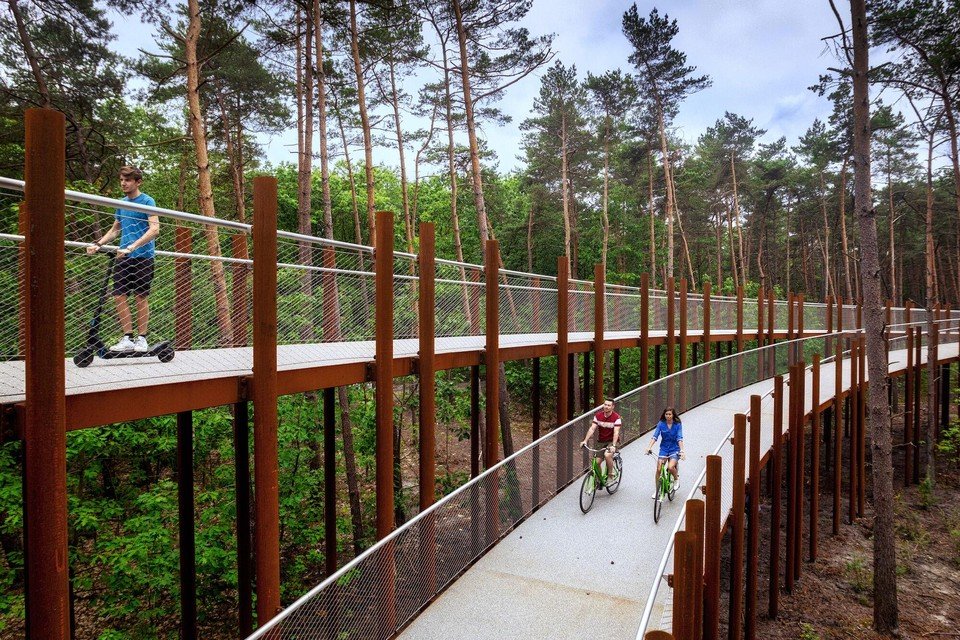 Fietsen door de bomen in het Bosland