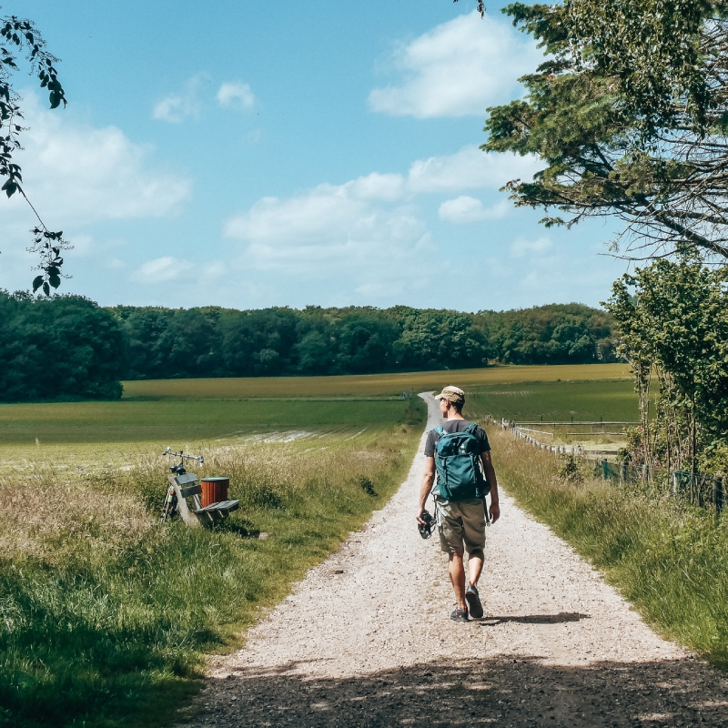 Een wandelaar tussen de bossen en weilanden op de veluwe