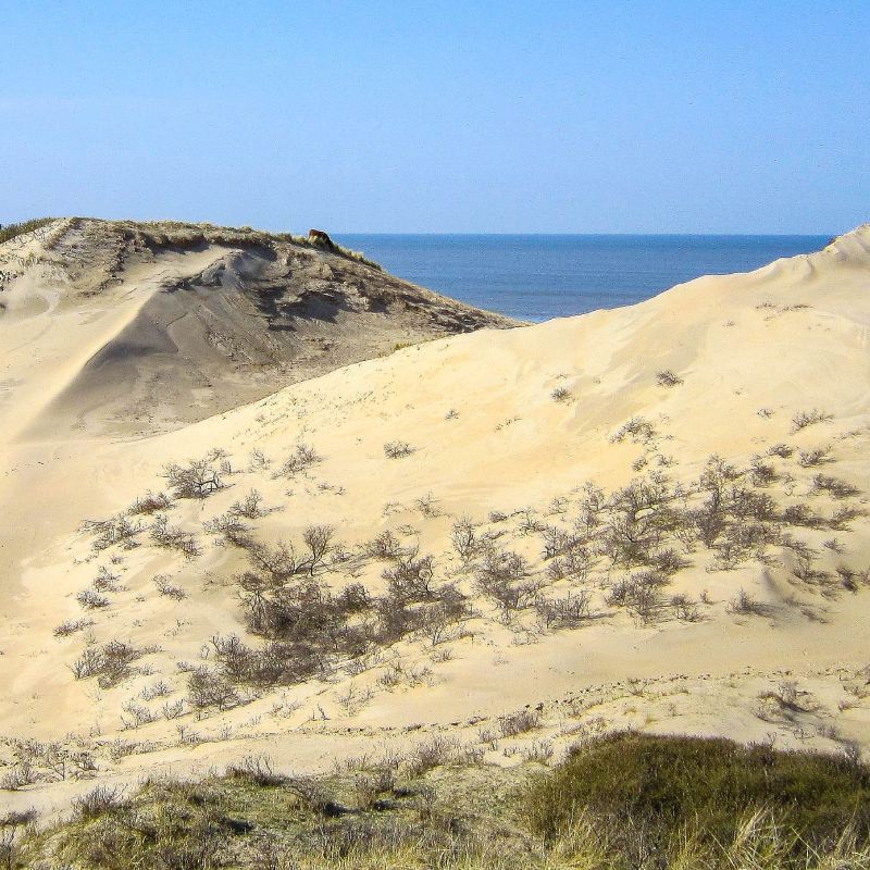 zuid kennemerland wandelen