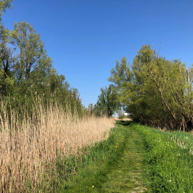 Lepelaarplassen-flevoland