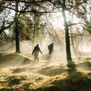 Wandelaars lopen door het bos in magisch licht in de winter tijdens IVN Trektocht Drenthe.