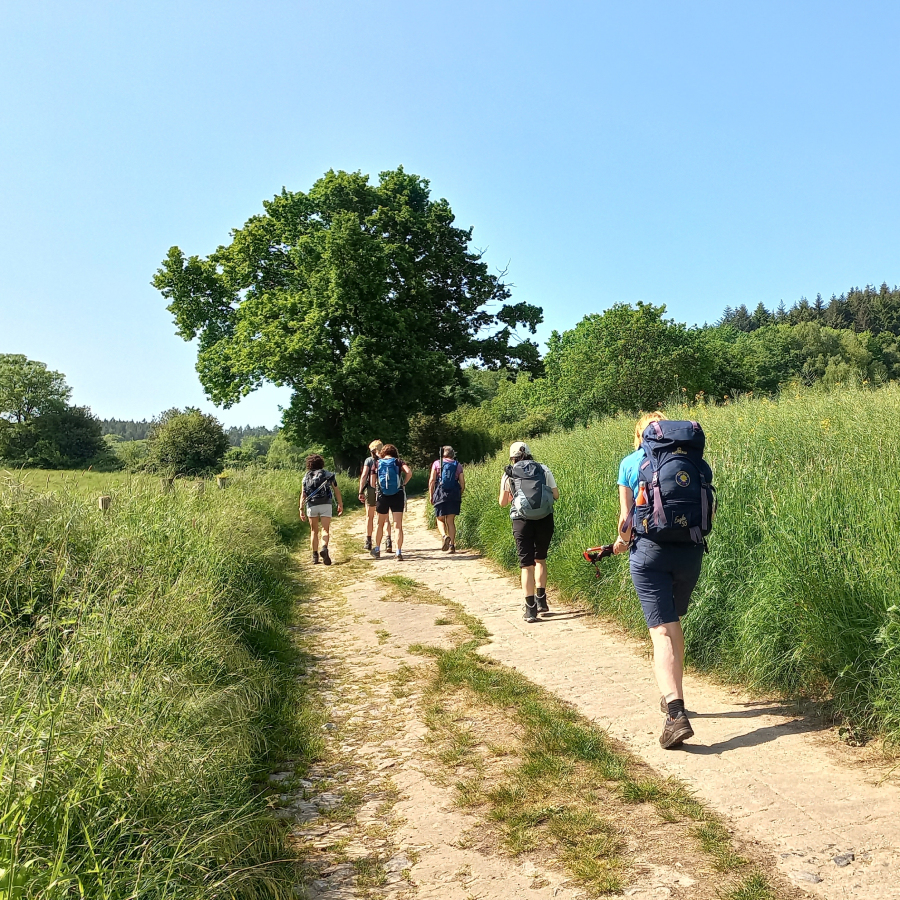 Groepsfoto van wandeling in Gulpen