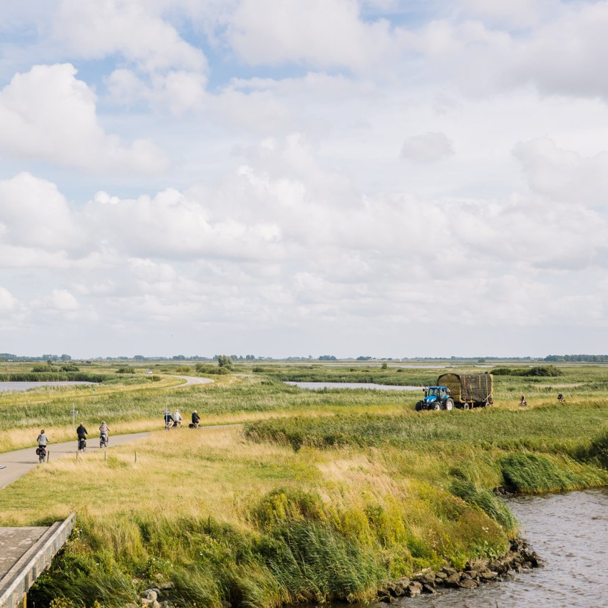 Fietsen Lauwersmeer - Schiermonnikoog