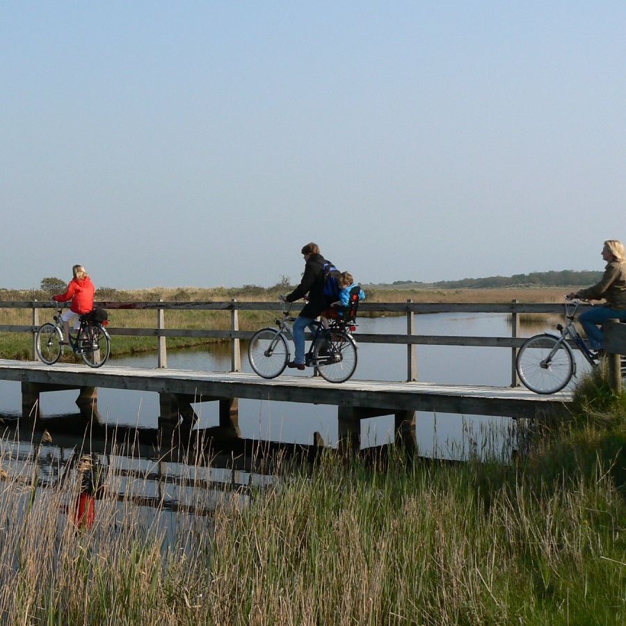 Kwelder Schiermonnikoog