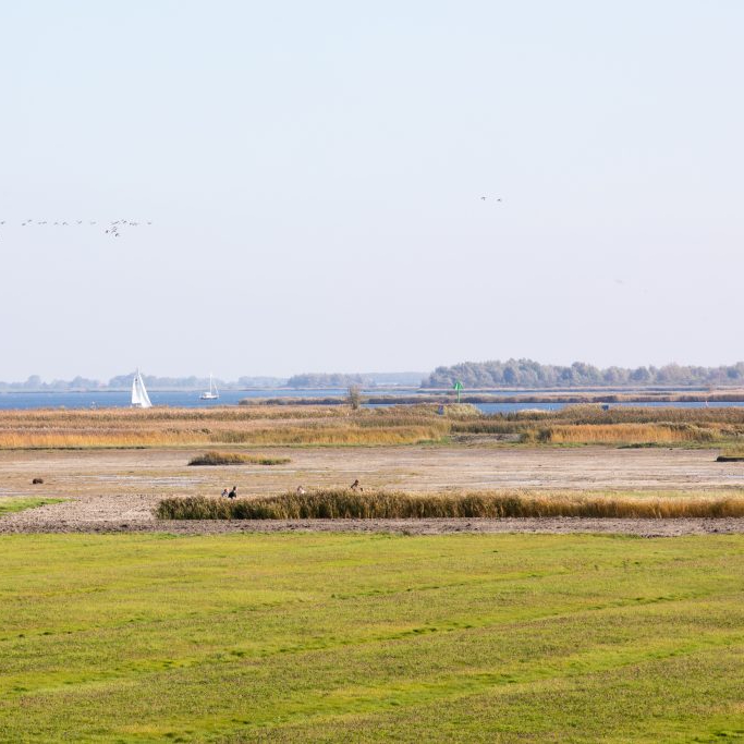 Wandelen op Schiermonnikoog