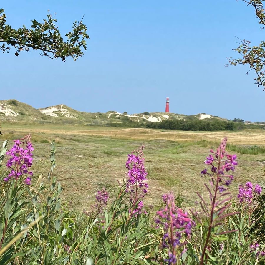 Hertenbosvallei Schiermonnikoog