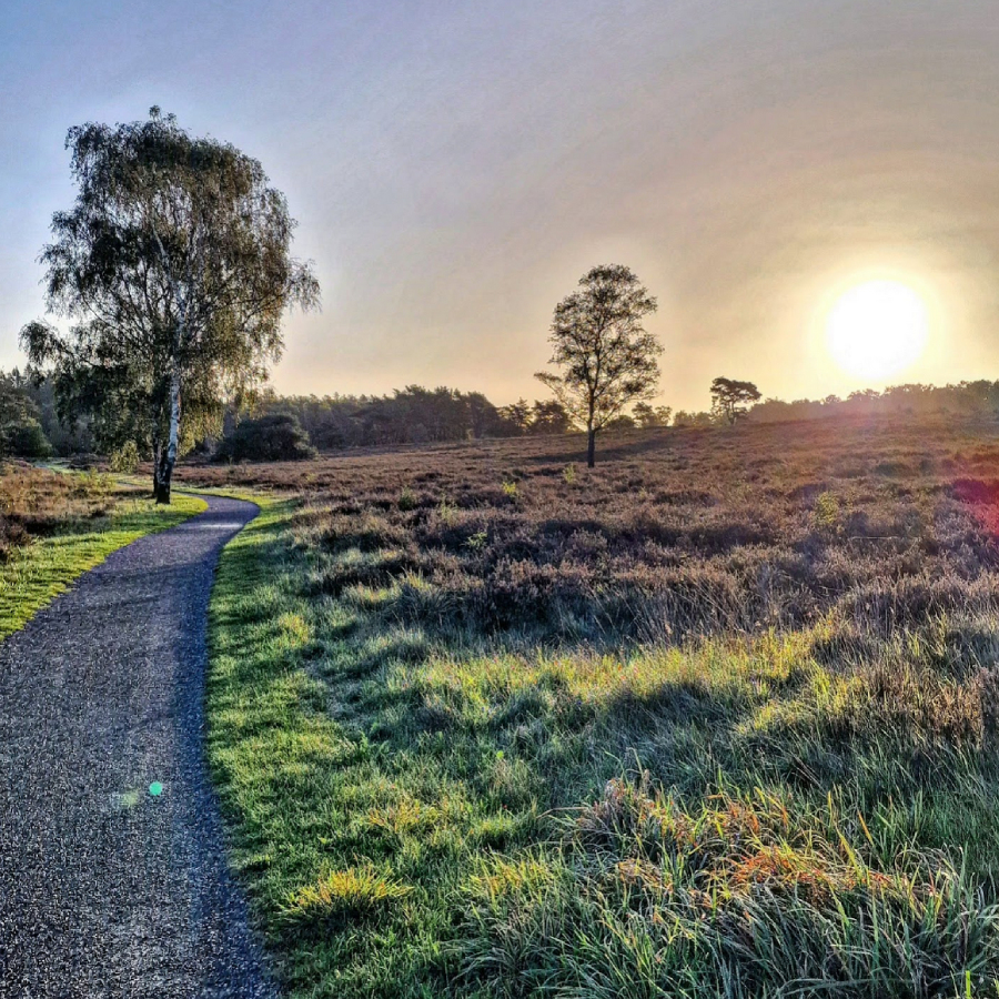 Landschap tijdens de trektocht door Drenthe