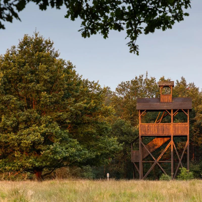 Wandelen_Doldersummerveld_arrangement-individueel_AD_KB