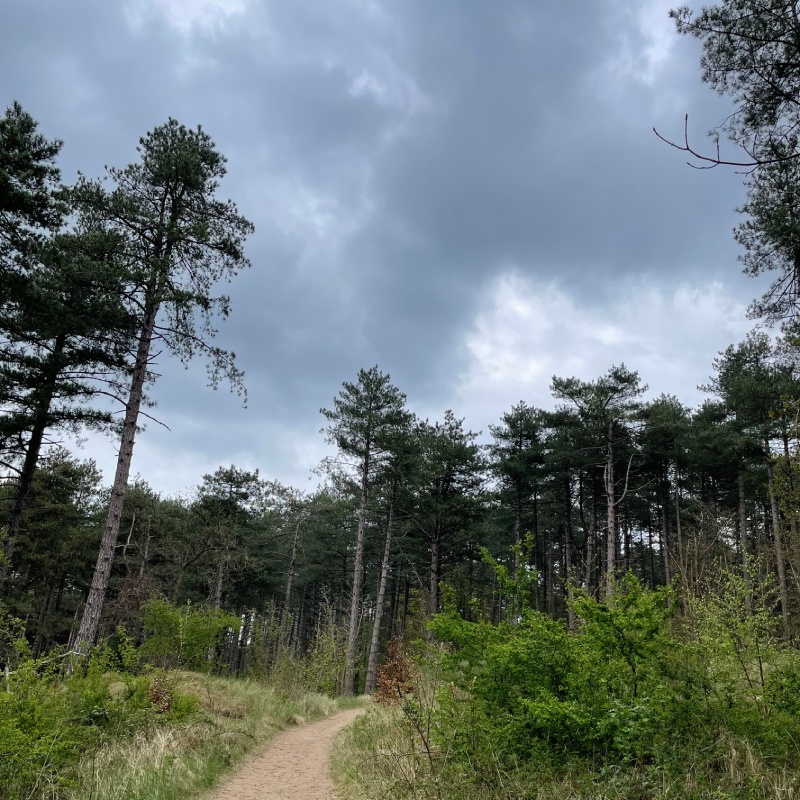 IVN-zuid-kennemerland- DH