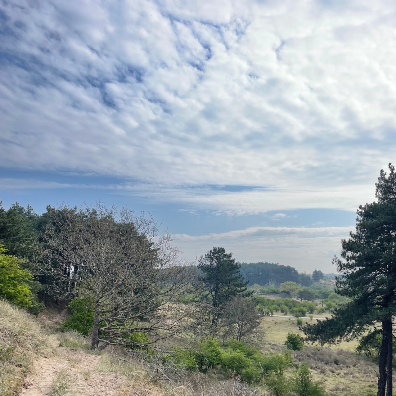 ivn-zuid-kennemerland