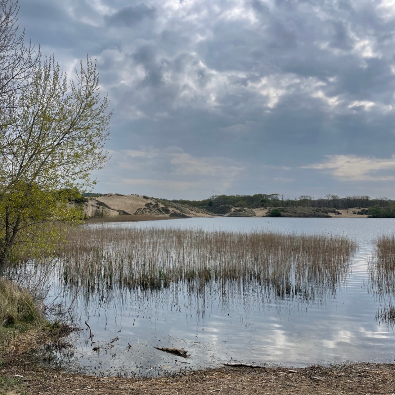 wandelen-zuid kennemerland