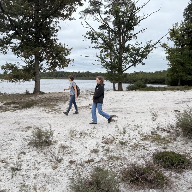 Wandelen Brabantse vennen