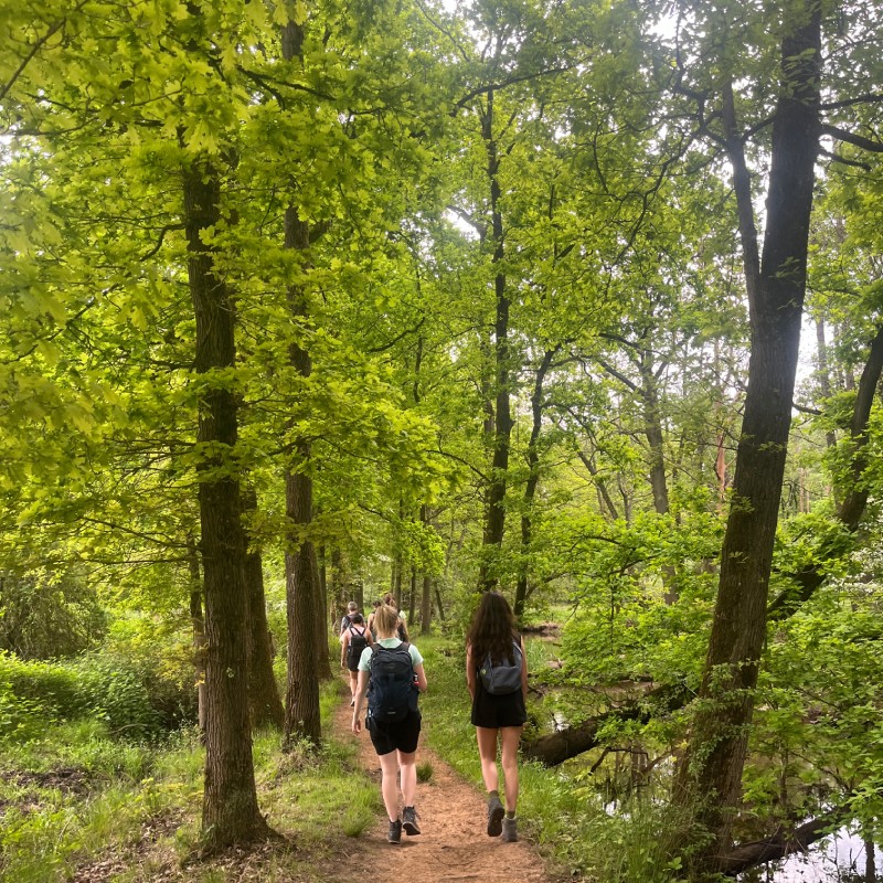 Wandelen- bomen