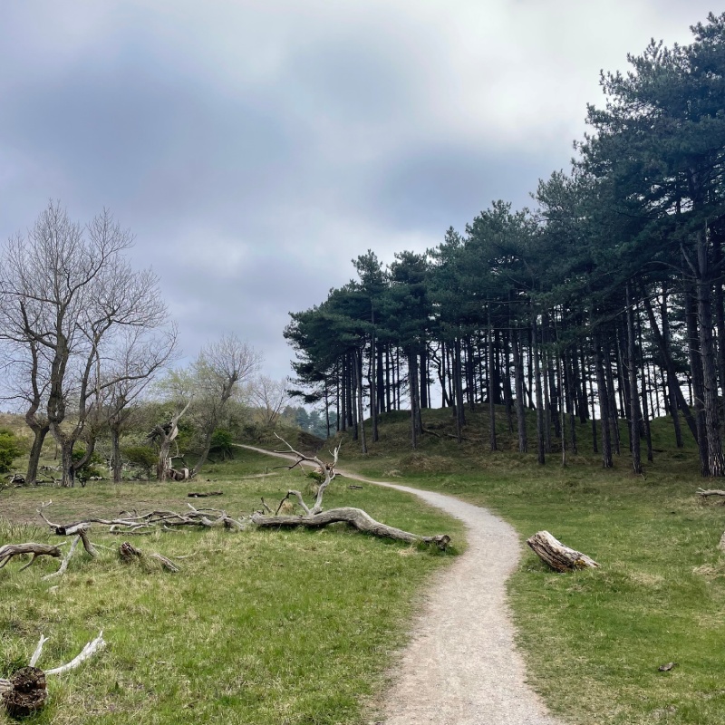 wandelen-individueel