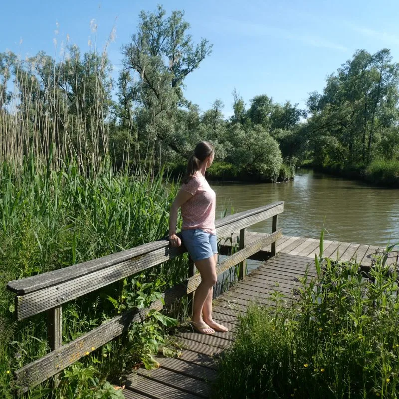 Biesbosch Zuid-Holland