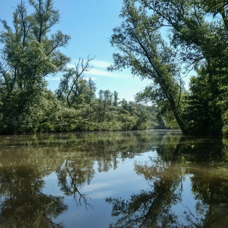 Verrassend Avontuur
