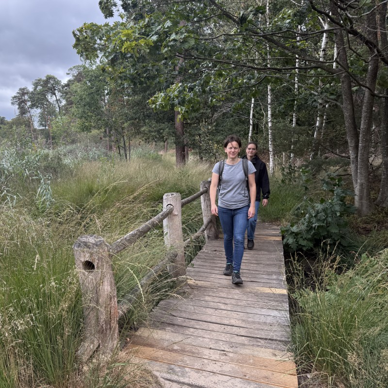 Wandelen-Brabantse vennen