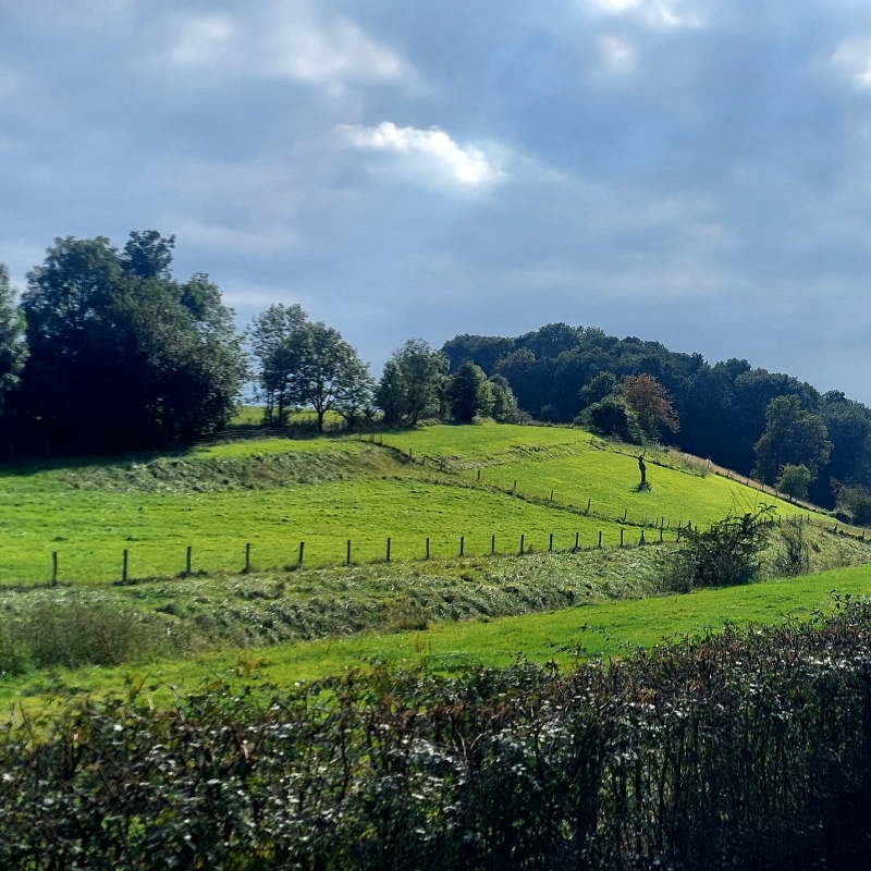 Limburg-Dutch-Mountain-Trail-Krijtlandpad_AD_Es
