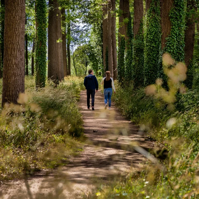 Visit Brabant wandelarrangement