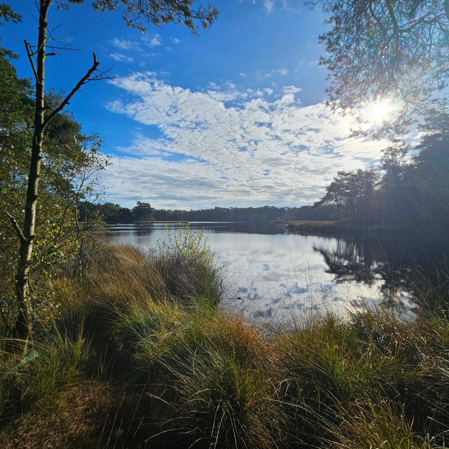Uitzicht wandelweekend Drenthe
