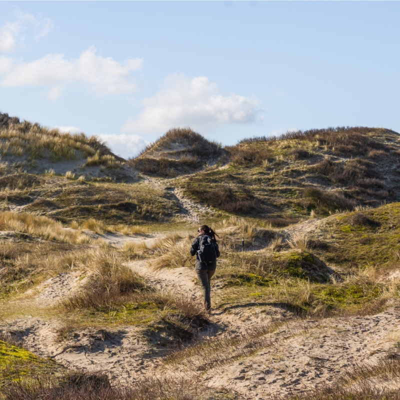 Wandelen noordhollands duinreservaat