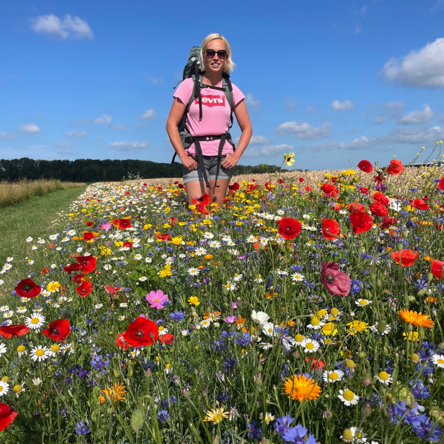Bloemen Tijdens de IVN Trektocht Biesbosch