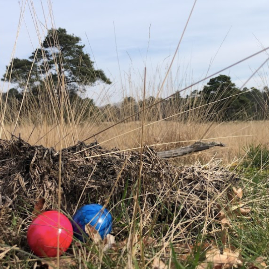 Foto tijdens de IVN Trektocht Drenthe