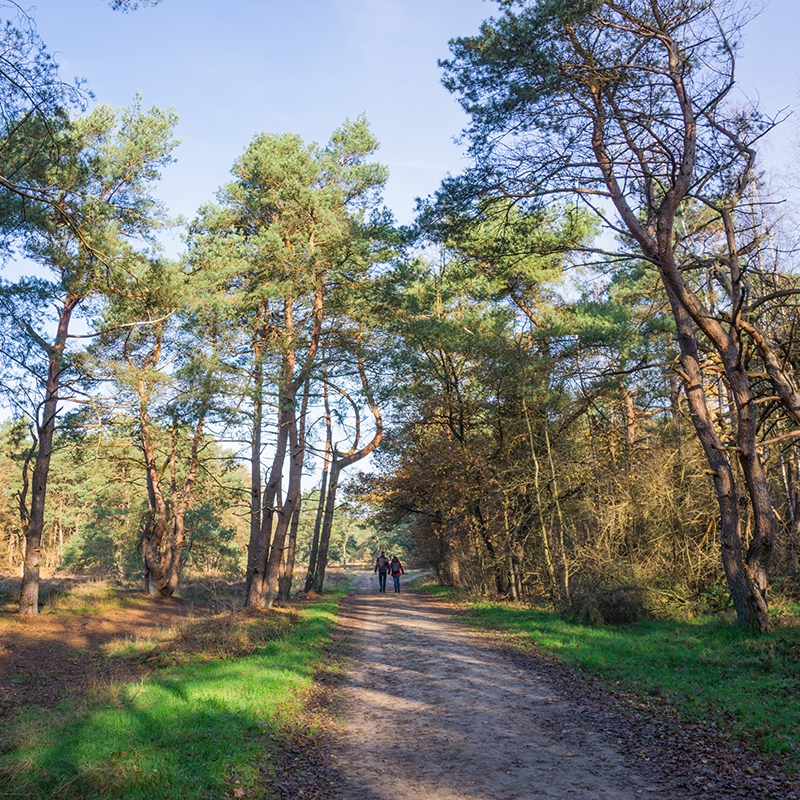Wandelen drenthe