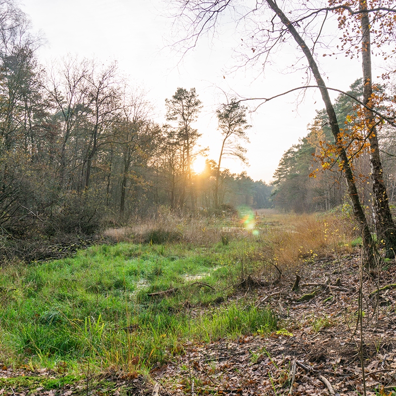 Wandelen drenthe