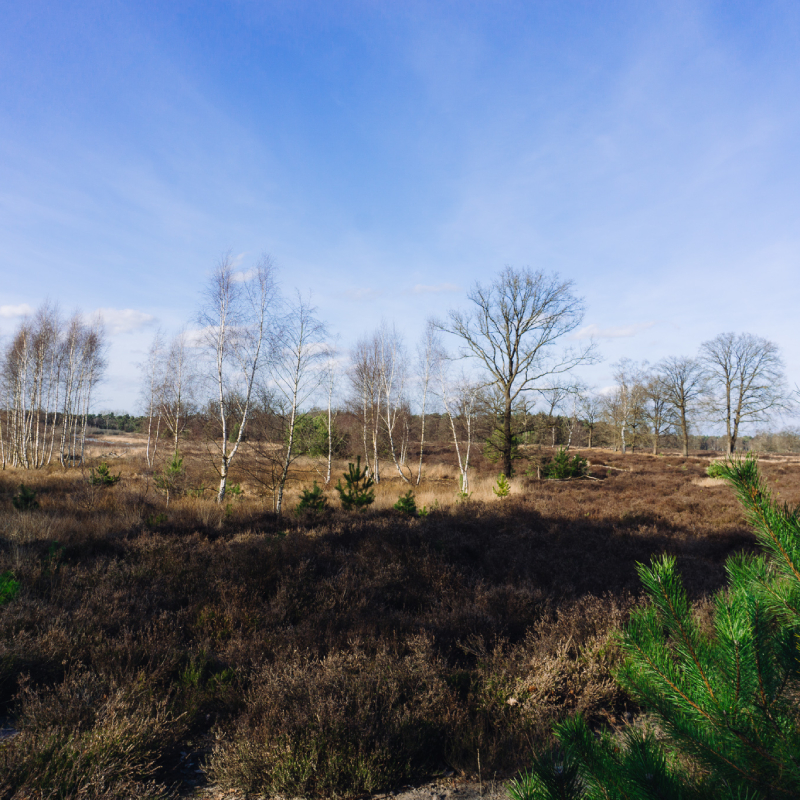 Wandelen Noord-brabant