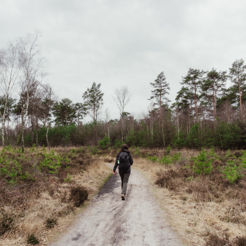 Wandelen Veluwe