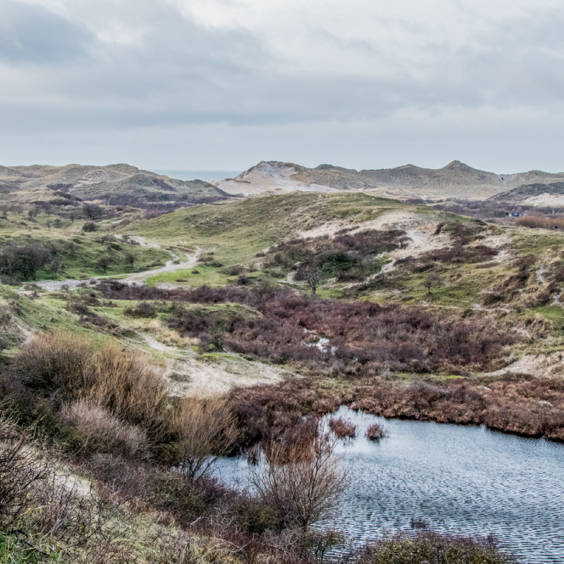 wandelen_Noord_Holland_arrangement_individueel_AD_NI (2)
