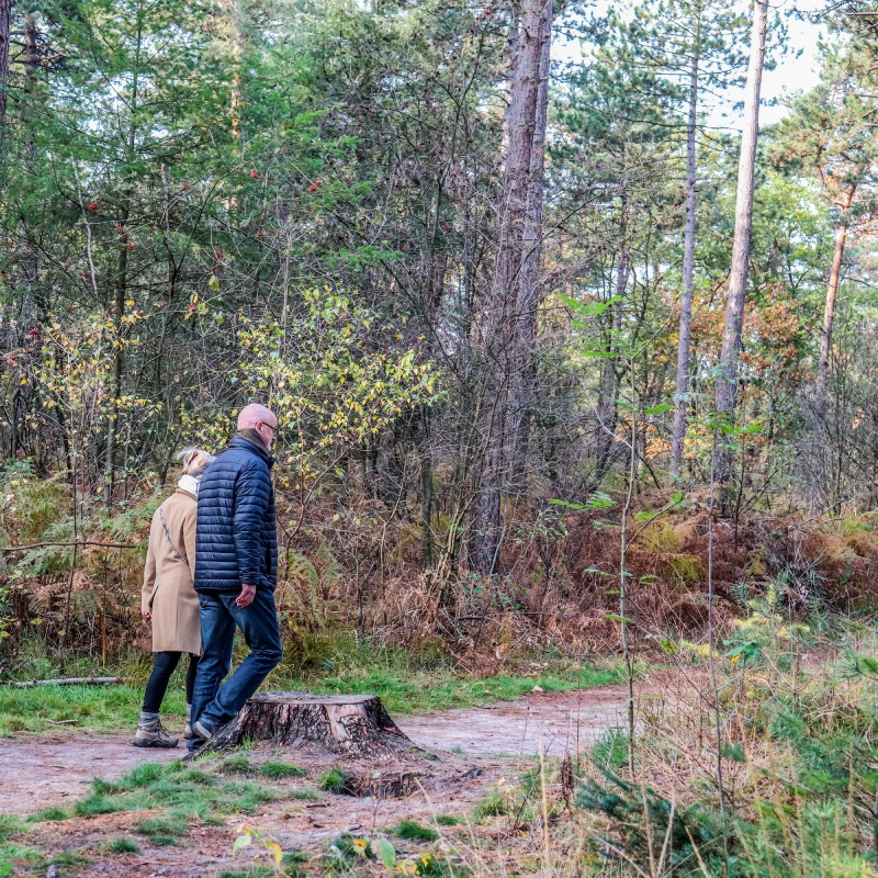 wandelen_utrecht_arrangement_groep_AD_NI
