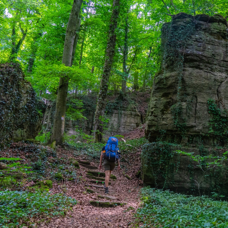 Wandelen_Mullerthal_Trail_Groep_AD (1)