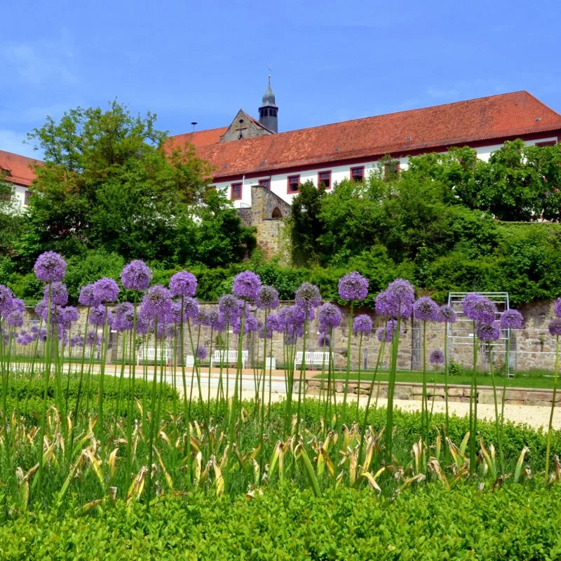Bad Iburg Schloss Knotengarten