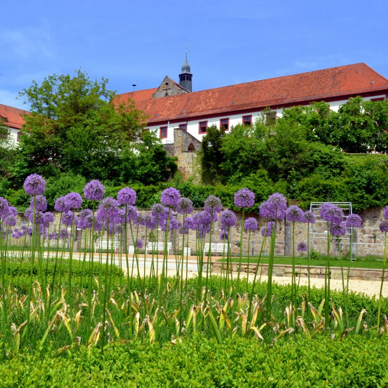 Bad Iburg Schloss Knotengarten