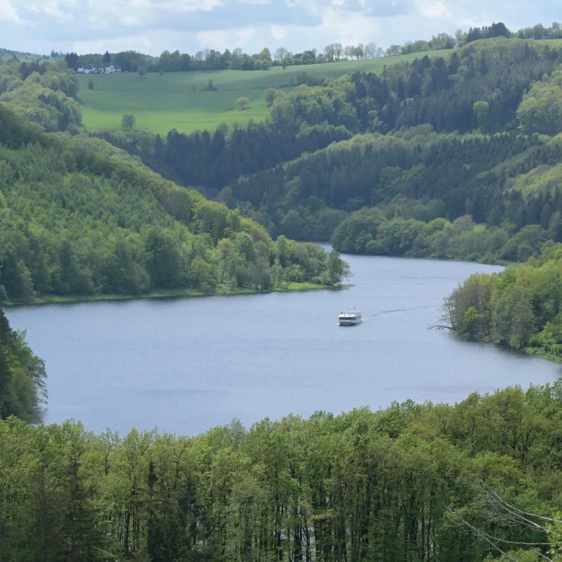 StauSeeSteig - DMFF
