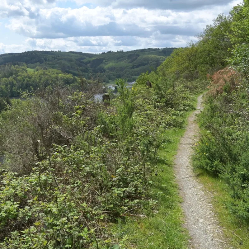 StauSeeSteig - DMFF