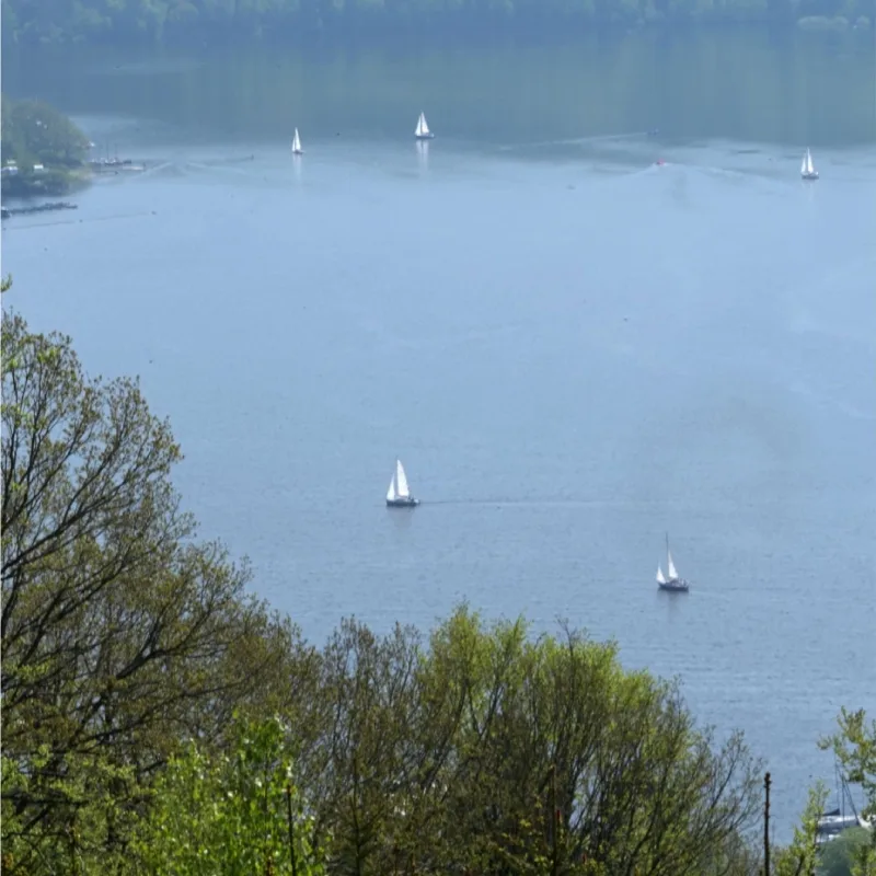 StauSeeSteig - DMFF