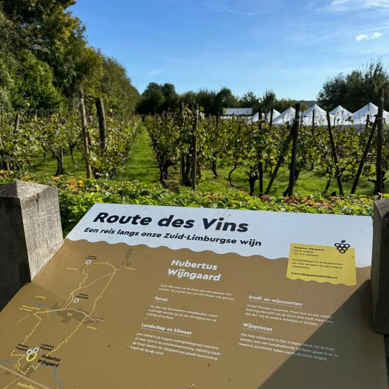 Route des Vins
