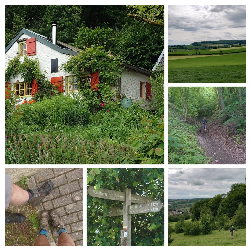 Foto van de maand Sylvie