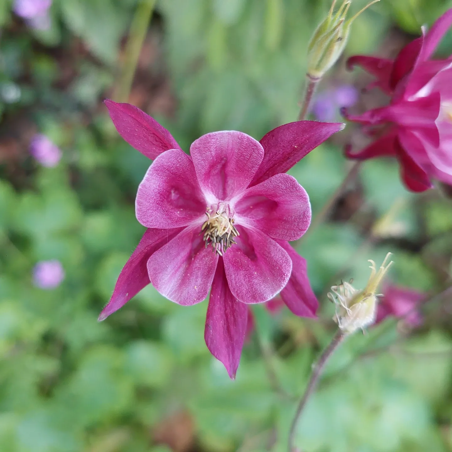 reiziger foto van de maand