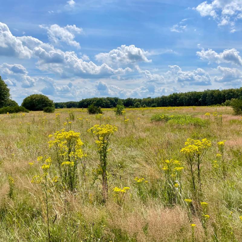 Drenthe Fot van de maand