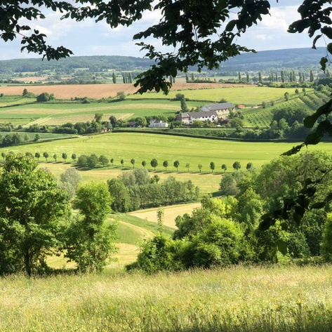 Foto van de maand juli