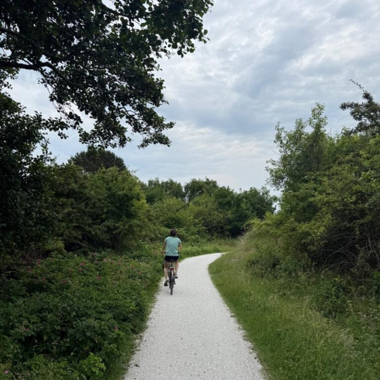 Fietsen - lauwersmeer